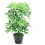 Leaf 55cm Variegated Artificial Schefflera Arboricola Plant 1
