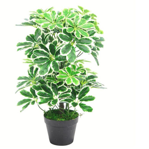 Leaf 55cm Variegated Artificial Schefflera Arboricola Plant