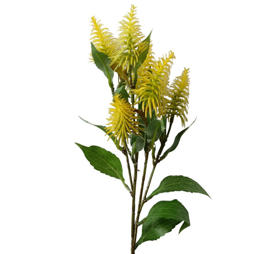 Leaf 55cm Callistemon Pallidus Yellow Bottle Brush Stem