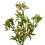Leaf 55cm Artificial Foliage Stem with Pink Berries 1