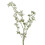Leaf 85cm Gypsophila White Stem 1