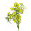 Leaf 55cm Gypsophila Yellow Stem 1