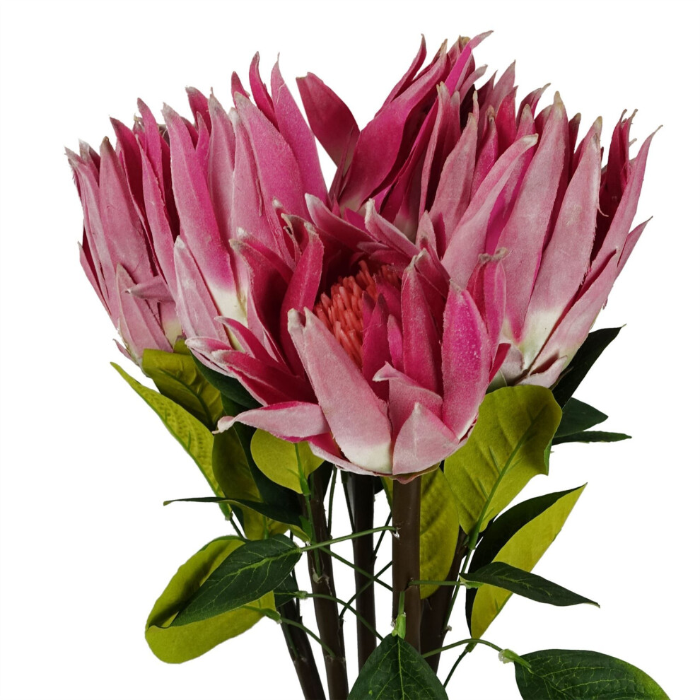 Leaf Pack Of 6 X 65Cm Protea Sugarbush Flower Stem - Pink