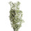 Leaf Pack of 6 x 85cm Gypsophila White Stem 1
