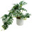 Leaf 30cm Artificial Variegated Green Potted Monstera Trailing Plant 1