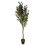 Leaf 150cm Artificial Natural Look Olive Tree with Wooden Trunk 1