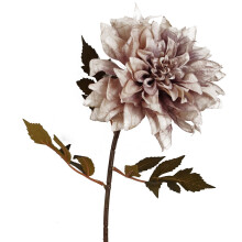 55cm Dahlia Flower Stem - Dusty Cream