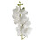 Leaf 100cm Artificial Phalaenopsis Orchid White Stem 1