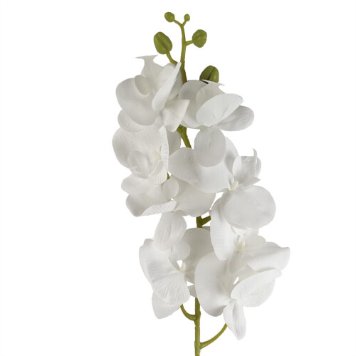 Leaf 100cm Artificial Phalaenopsis Orchid White Stem