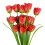 Leaf Pack of 6 x 80cm Artificial Tulip Red Stem 1