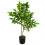 Leaf 65cm Artificial Toona Sinensis Plant Evergreen 1