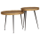 VidaXL vidaXL Coffee Table 2 pcs Golden Engineered Wood 1