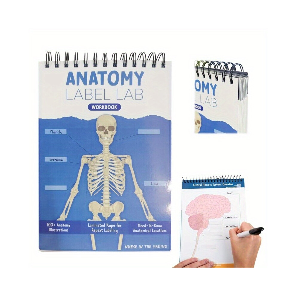 (Blue) Anatomy Label Lab Workbook: Erasable Reusable Medical Student Study Guide with 100 Labeled Human Anatomy Illustrations, Portable 26.92cm x 17.