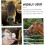 5 pieces pig drinker automatic feeding water tools for piglets splashproof design robust construction for pig drinking nozzle 2