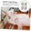 5 pieces pig drinker automatic feeding water tools for piglets splashproof design robust construction for pig drinking nozzle 5