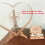 3D Wedding Guest Book Wooden Transparent Heart Shape Frame Drop Box 10