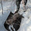 Deer Sled, Thickened Snow Sledding Pad Utility Sled Yard Glider with Deer Drag Straps 2