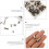 Professional Scrapbooking Supplies Set m Screw Rivets Smooth Flat Surface 5