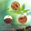 Premium Coco Coir Bricks, 4 Pcs, Organic Compressed Coconut Coir Starting Mix 4