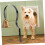 Elevate Your Dog's Training 2 Pcs Metal Training Doorbells for Enhanced 2