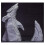 Dark Heaven: Autel des os de Dagon 2