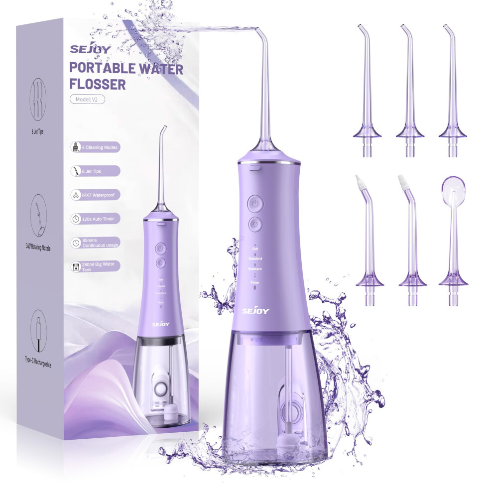 Rechargeable Professional Water Dental Flosser Pick for Teeth Cleaning 280ML