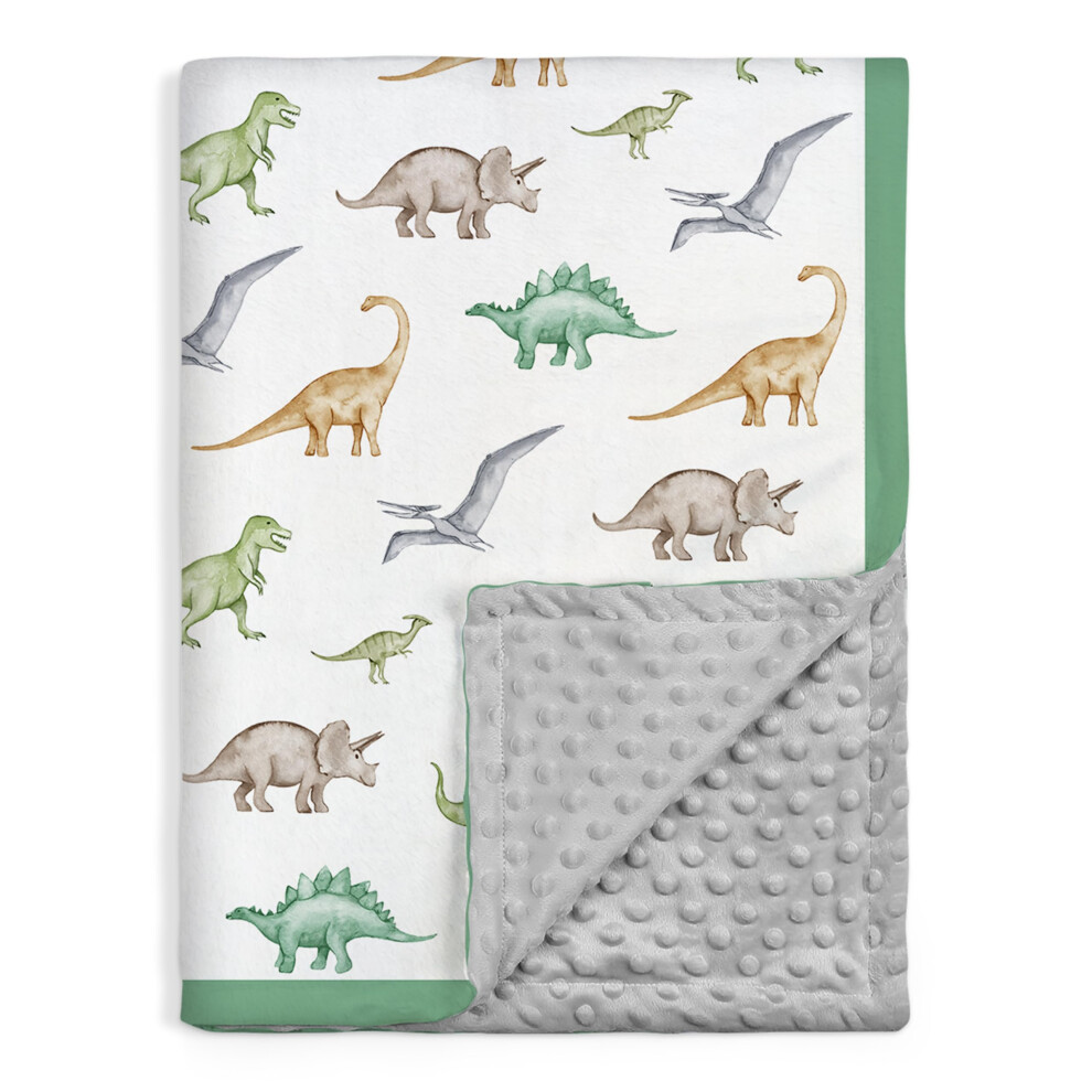 1 Dinosaur Blanket for Christmas Gift 30 x 40 Inches