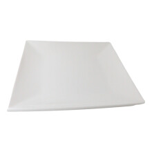 2 Plates Contemporary Square Dinner Plate for Salad and Pasta Noodles 11'