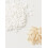 AG Care Simply Dry Σαμπουάν Ξηρού Σαμπουάν, 4.2 Oz (Ελλάδα) 3
