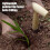 For plants, young plants, garden tool, seed drilling, for flowers 2