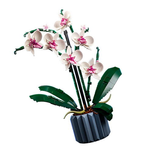 608pcs Phalaenopsis Building Blocks for Girl 2