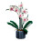 608pcs Phalaenopsis Building Blocks for Girl 2