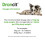 RS Pet Droncit Bayer Dog & Cat Tapeworm Tablets x 10 Pack 4