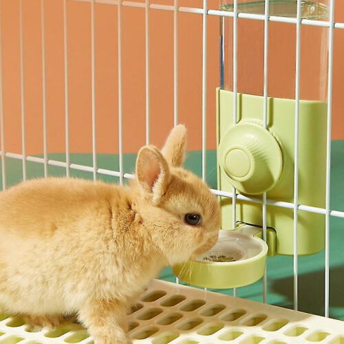 Dispenser Automatic - Siphon Pet for () 1