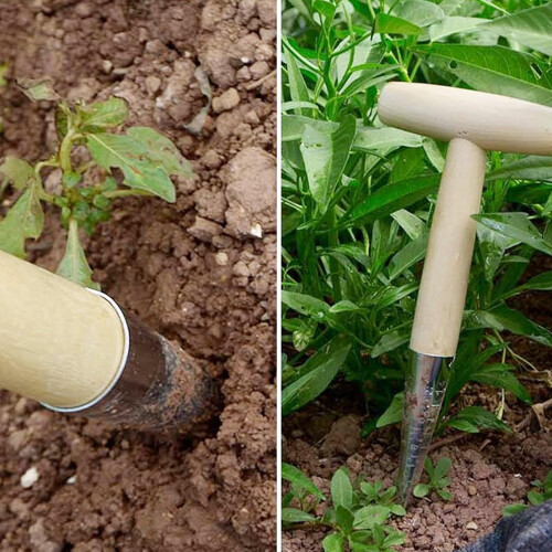 Dibbler planting tool  Tshaped cutting tool for plants  seedlings 1