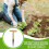 Manual Thandle earth drill for seedlings  Precision gardening tools Ref: 1357 2