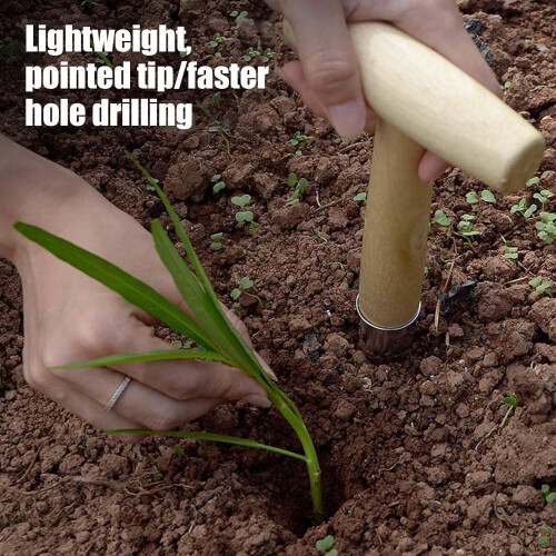 Planting hole digger  Tshaped handle with hole punch  planting tool Ref: 3848 1