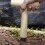 Seed Dibber Garden Tool  Wooden Handle  Multipurpose  28x11cm 3