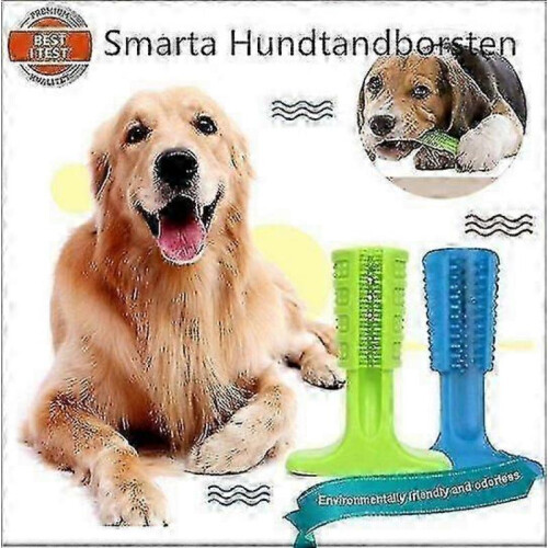 Doggy Stick - the Smart Toothbrush for Dog- Green