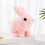 sherem   bunby My Realistic Bunny Toy 1