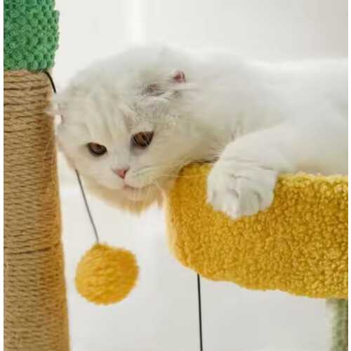 Cactus Cat Climbing Tree with Scratching Post  Cozy Cat Nest – SpaceSaving Small Cat Tree for Indoor Cats 2