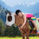 12 Pcs Horse Fly Masks for Horses Comfortable with Ears Elasticity 4