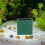 Pools Tank Filtration Reusable Media Household Replaceable Water Filtering Purifier Accessory 4