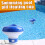 Chlorine Dosing Float, Blue, Pool Dosing Float, Chlorine Dispenser, 5 Inch 3