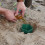 Snail trap starter set trap garden  bait clean and highly effective snail control 5pack 3