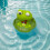 Frog Pool Chlorine Floater, Adjustable Dispenser for 3 Inch Tablets 4