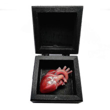 (A) 3D My Heart in a Box - Funny Human Heart Ornament, Valentine's Day Gift for Lovers