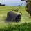 24 Inch Compost Spreader for Lawn and Garden  Adjustable Handle, Metal Mesh Basket 2