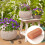 Copper net agat snails, 9 m x 13 cm, double layer snail repellent Ref: 2503 5