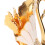 Swan Base Holder Innovative Gold Smoother Edges 13